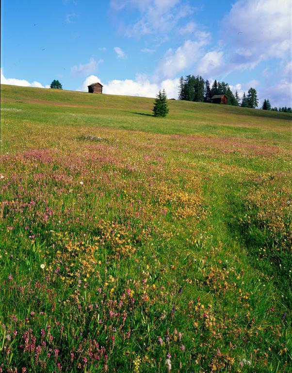 Apartmán Ciasa Mirio' La Valle Exteriér fotografie