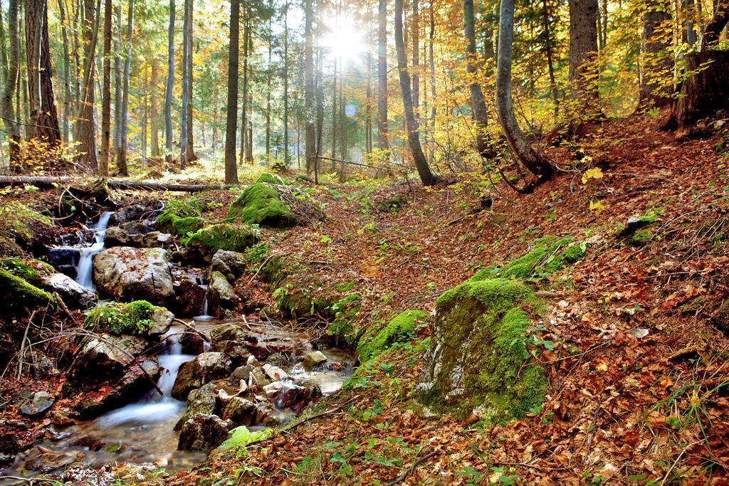 Apartmán Ciasa Mirio' La Valle Exteriér fotografie